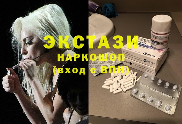 СК Алексин