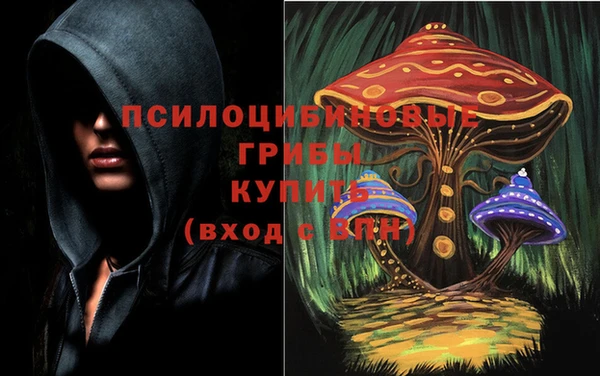 МДПВ Алзамай