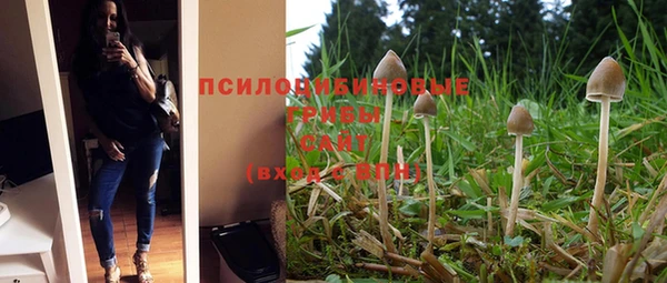 не бодяженный Абинск